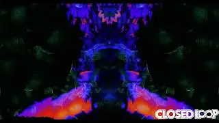Closed Loop - Bare Trap