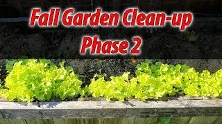 Garden Cleanup Phase 2 of 3 - Garden Vlog Update (2019)