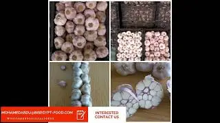 2018 New Crop Normal White Garlic - Buy Pure White Garlic,Garlic Price 2017,Bulk Fresh Garlic
