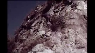 Lassie chien fidèle partie 2