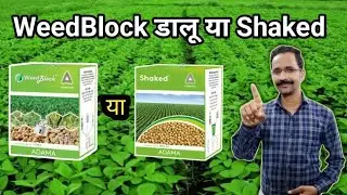 🌾🌾Weed Block or Shaked - Which is Best for Your Crop?🌾🌾#weedblock Herbicide VS Shaked Herbicide