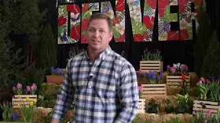 Jason Cameron at 2019 Denver Home Show on Denver Channel 1