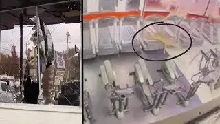Deer Smashes through Gym Window