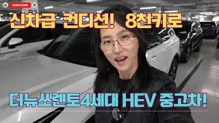 더뉴쏘렌토4세대 하이브리드중고차 소개드립니다