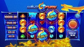 $100 Max Bet Spins on Wild Fury Slot Machine Again