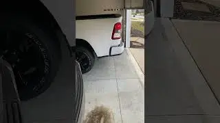 2021 Dodge Ram 1500 Hemi Flowmaster Super 44 sound