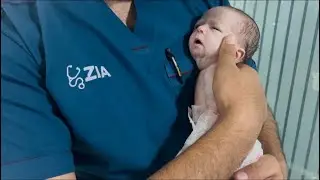 Day 3 Newborn Baby 🍼 Cute & Tiny 🤍 RBS Level Low Today👶🍼