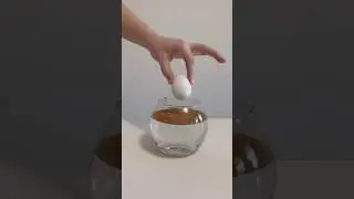 simple but fascinating demonstration of hydrophobic material, in this case cinnamon #science #asmr