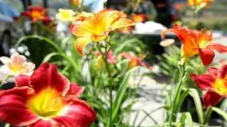 Park City Farmers Market Park City Utah Fresh Local Produce Ev WEDNESDAY at The Canyons Ski Resort