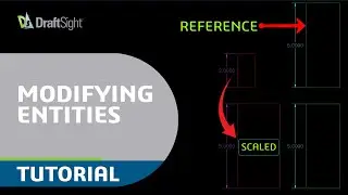 Scale Entity with Reference