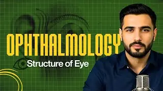Contributions of Ibn-al-Haitham & Ali Ibn-Isa to Ophthalmology and Ear Anatomy