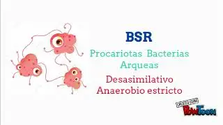 Sulfato Reducci&oacute;n