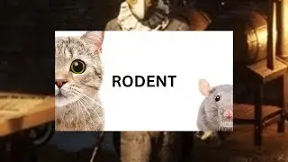 RODENT | Lies of P - 4