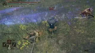 ELDEN RING - Roly-poly Kill