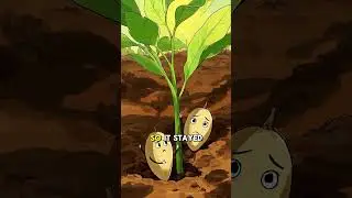 The Two Seeds