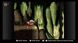 Donkey Kong Country: 6-2 Manic Mincers Secret Rooms