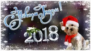 С Новым  2018 годом вас Друзья! С Новым счастьем!