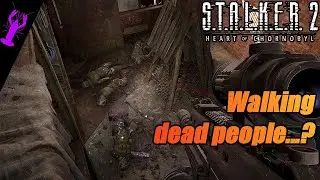 It's like Wishing for Updates from the Wish Granter in a Way | STALKER 2 [27]