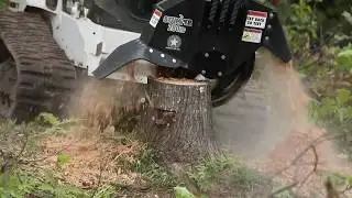 Rent the Skid Steer Stump Grinder Attachment Stumper 280