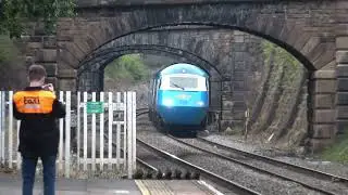 Blue Pullman HST impacts a wood pigeon at 110mph!