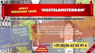 Artis Amsterdam Zoo 2024 Wildlife Conservation Experience | White Tulip Hostel Amsterdam