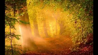 Calm Relaxing Fantasy Music | Once Upon a Time