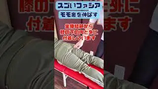 スゴいファシア　下肢の挙上改善　ハムストリングスを伸ばす　モモ裏の伸張改善
