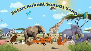 Safari Animal Sounds Song 🐘🦁 | Fun English Learning for Kids | ABC-KIDS WORLD