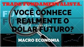 VOC&Ecirc; REALMENTE CONHECE O METAJOGO DO D&Oacute;LAR FUTURO?