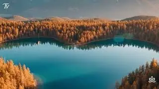 Aerial Ocean Views 🌊 Stunning Bird's Eye Scenery | Beautiful Nature from Above