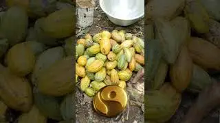 please you can  stop child labour #mrbeast #snacks #kids #groggy  #barneyrubble #Animetedvideos635
