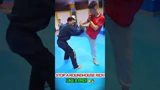 Master the Perfect Defense Against a Roundhouse Kick! 💥🥋 #selfdenfense #martialarts #karate