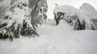 NoronaLife.com - Snow Shredding.mov