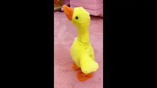 Really funny duck,do you like it?#toy #toyduck #duck#UK