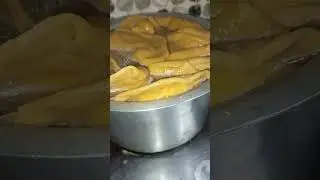 Live highlight | Fara Recipe