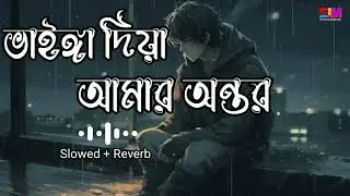 Vainga Diya Amar Ontor | ভাইঙ্গা দিয়া আমার অন্তর | New Lo-Fi Song | Bangla Sad Song 2024