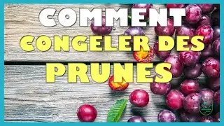Comment congeler des prunes