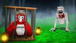 We Went Missing In Gorilla Tag..
