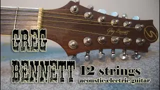 Samick Greg Bennet D7-12CE Acoustic-Electric 12 Strings Guitar