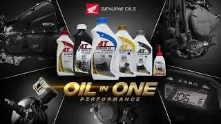 Honda Genuine Oil (Oil-in-One Performance)