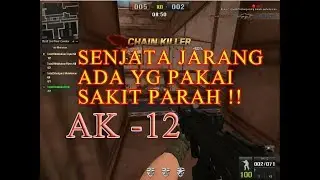 Expert AK-12 Kill - Point Blank Indonesia