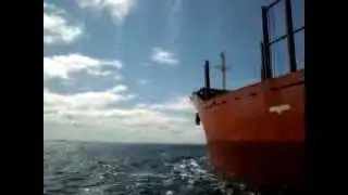 new zealand bluff pilot boat