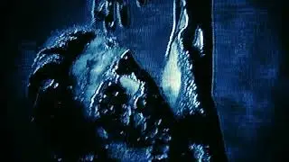 FEARING - Destroyer (official video)