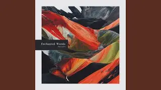 Enchanted Woods
