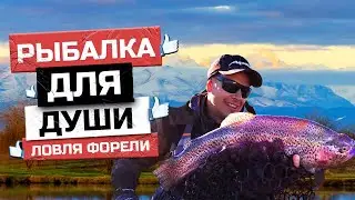 ЛОВЛЯ ФОРЕЛИ! БЕЗЛИМИТ 