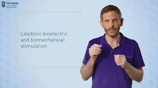 - The Bioelectric and Biomechanical interfaces Lab- Dr. Hemi Rotenberg