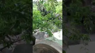 Gold di tam Nuoc khoang nong - Khu du Lich Nui Than Tai