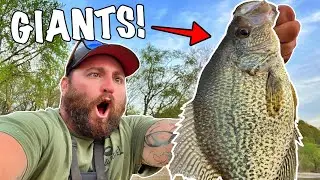 OHIO RIVER CRAPPIE FISHING - CAST CRAY Leechers only catch Giants!