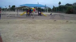 Bat Ass