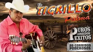 🔥 El Tigrillo Palma | Corridos Perrones de Pura Calidad 💯 &iexcl;Grandes &Eacute;xitos!